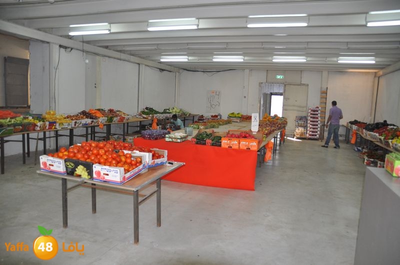 setona2y 830 (28).JPG